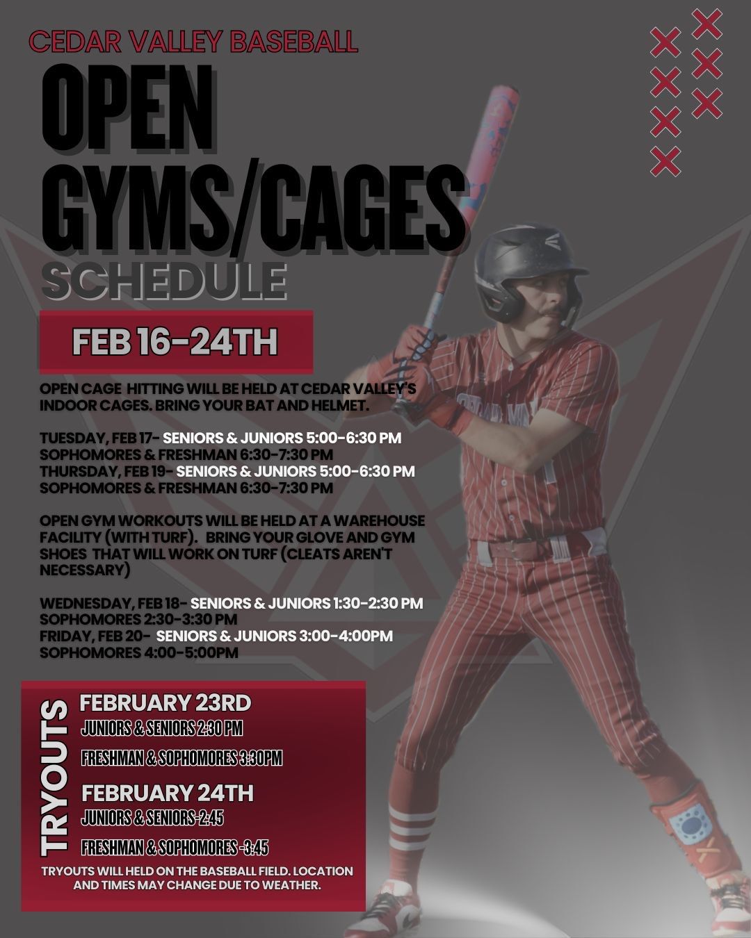 Open Gymscages 1